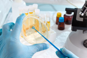 lab technician holding a petri dish